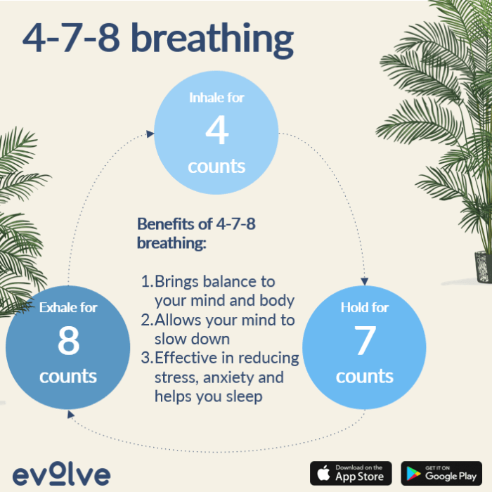 Stress reduce meditate meditations meditation guide babelcube beginners lewis transform haas learn today life can Stress reduce meditate meditations meditation guide babelcube beginners lewis transform haas learn today life can