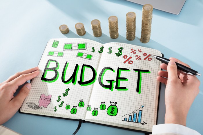 Budget printable sheet finances crush order