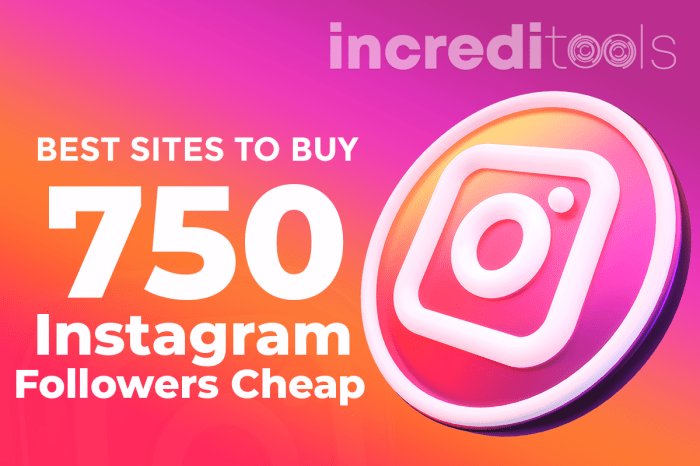 How to Get 100 Instagram Followers in 1 Week