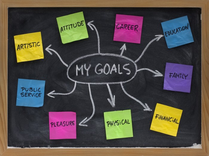 Goals achieve idbs online reference quick guide