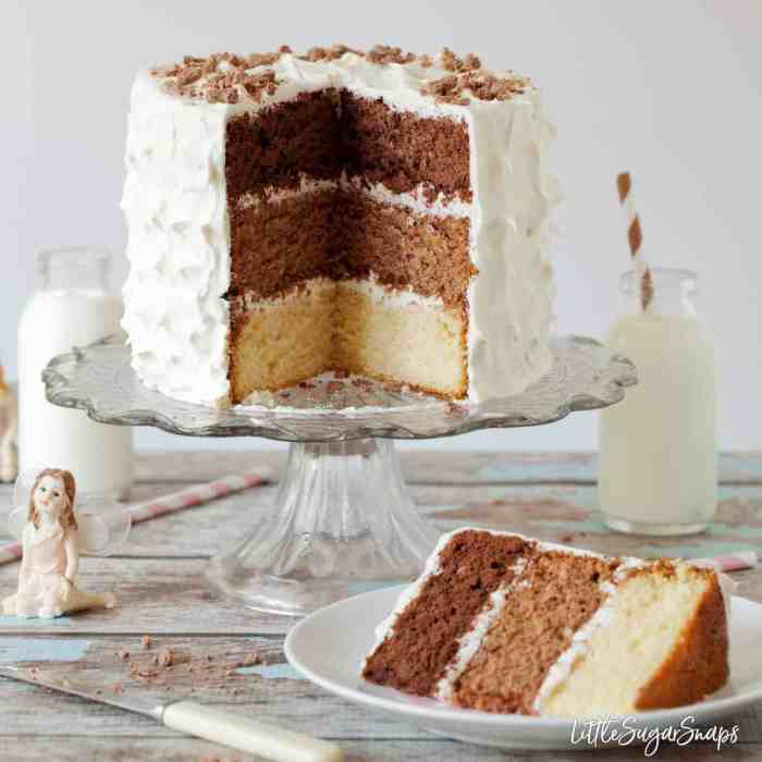 How to Bake a 3-Layer Cake in 1 Hour