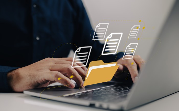How to Organize Your Digital Files in 7 Days