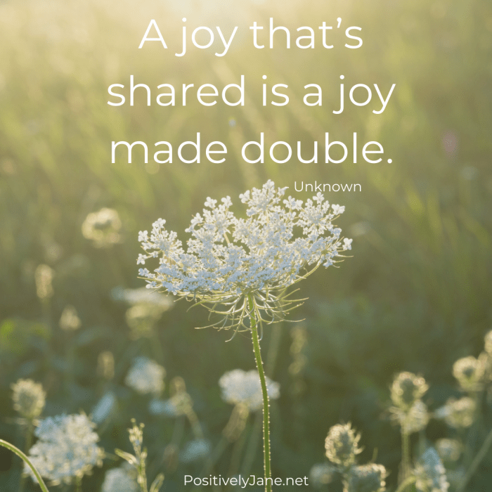 How to Live a Life of Joy
