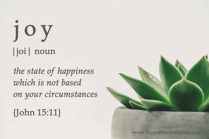 How to Live a Life of Joy