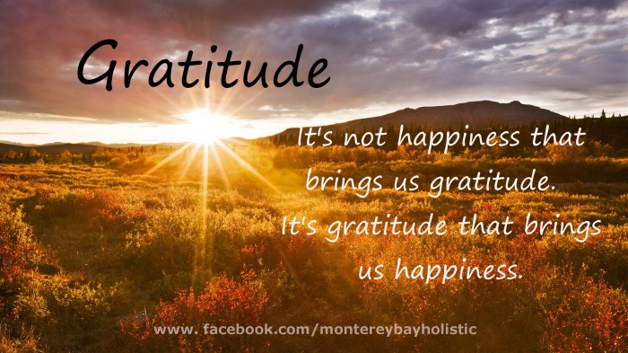 Gratitude children lessons teach appreciation gratefulness preschool sightandsoundreading