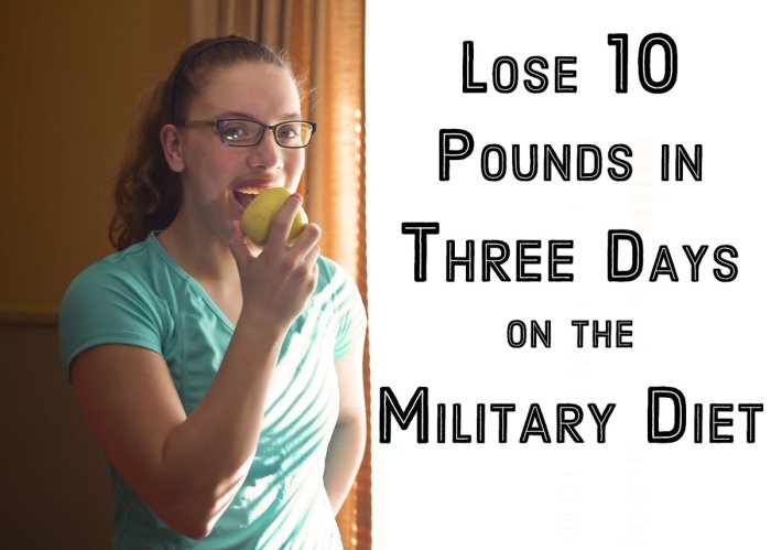 Pounds diet three diets caloriebee carisa gourley