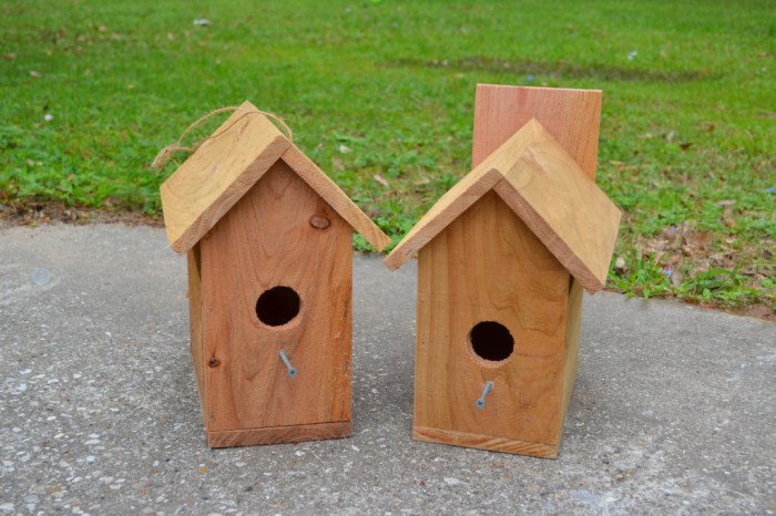 Birdhouse build conclusion tutorial print