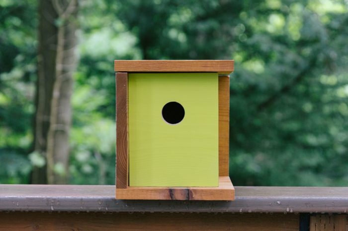 How to Build a Birdhouse in 1 Hour