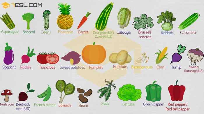 Vegetables types vegetable names english popular list most name veggies learn esl healthy study online englishstudyonline choose board Vegetables types vegetable names english popular list most name veggies learn esl healthy study online englishstudyonline choose board