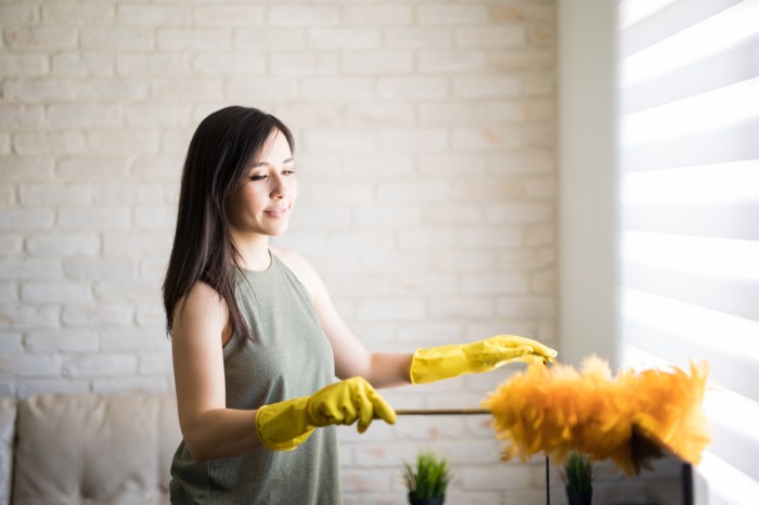 How to Clean Your House in 1 Hour a Day