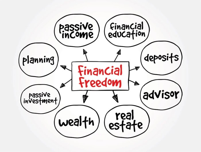 Freedom achieve financial money