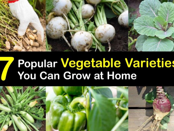 How to Grow 10 Different Types of Vegetables
