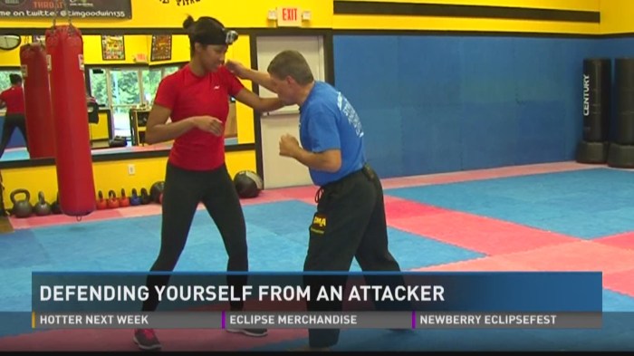 Defend attacker wltx How to Defend Yourself Against an Attacker