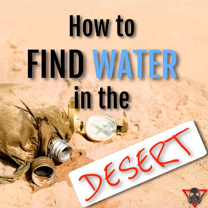 Desert