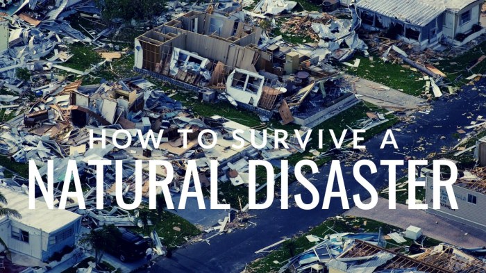 Natural disasters survive disaster surviving choose board learn camping survival living How to Survive a Natural Disaster
