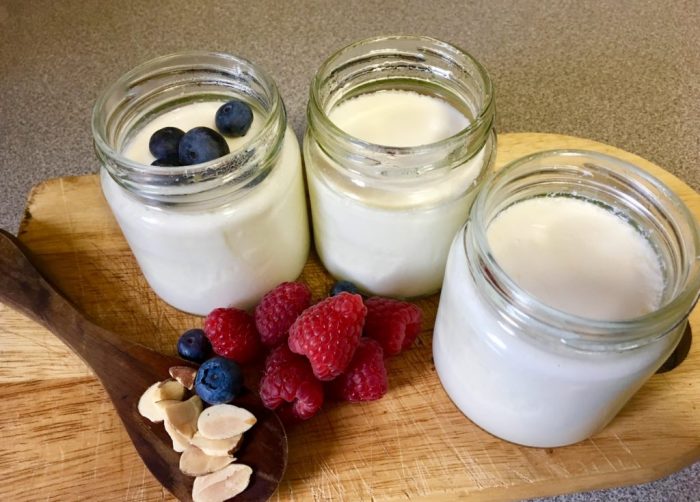 Yogurt make homemade diy yoghurt making way easy roses wild delicious healthy was chips apple diynatural affiliate links contain post