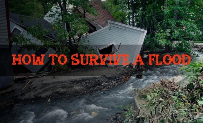 Flood survive frequent promised Flood survive frequent promised