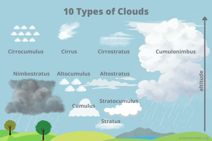 How to Learn 5 Different Types of Clouds