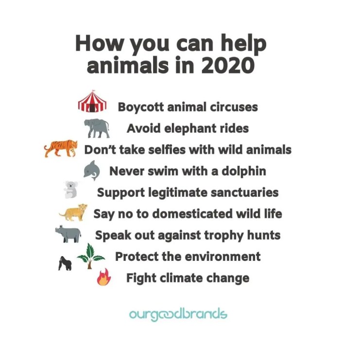How to Avoid Dangerous Animals