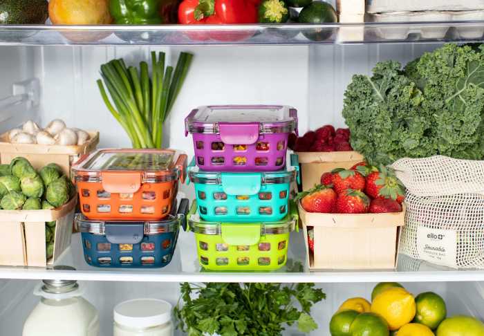 Food properly store foods stored should storing not fridge can badly doesn ensure perishables freeze never longer get indoindians organising