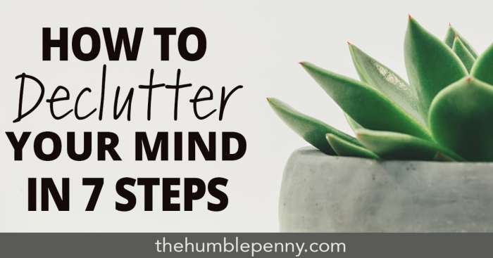 Declutter