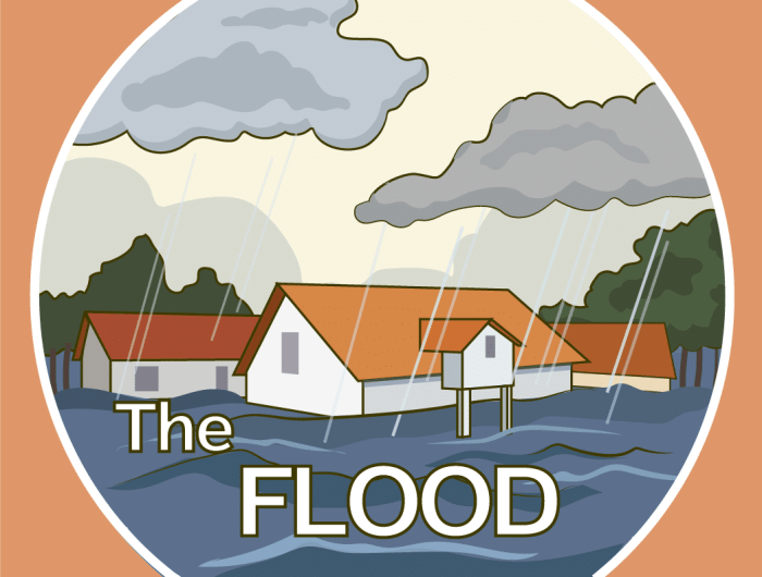 Flood survive interactions reader How to Survive a Flood