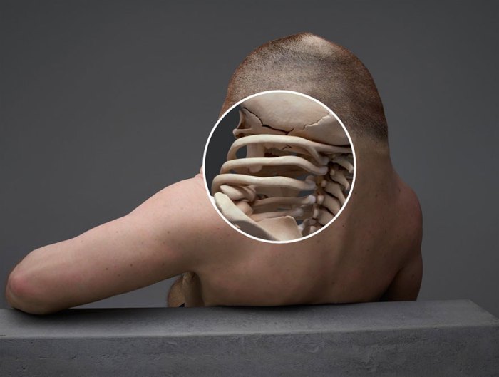 Car graham crash survive man can who accident meet look human body only have would person piccinini patricia crashes like Car graham crash survive man can who accident meet look human body only have would person piccinini patricia crashes like