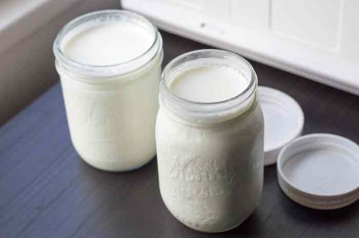 Yogurt homemade starter