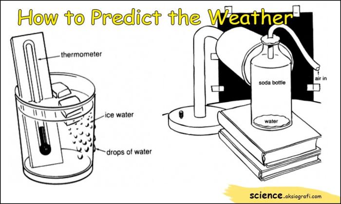 Weather predict clouds looking How to Predict the Weather