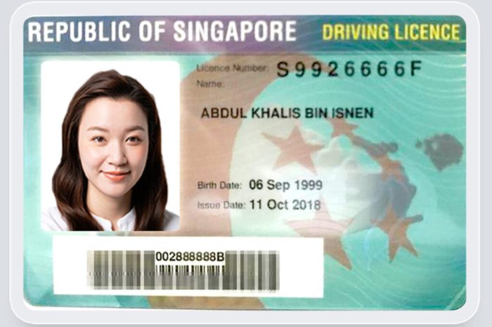 How to Get a Driver's License