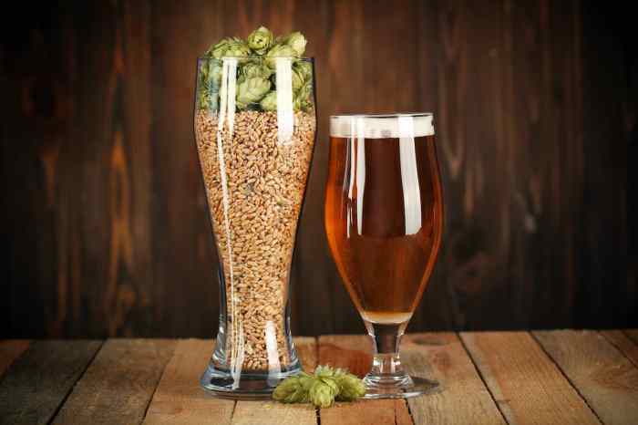 Cerveza propia