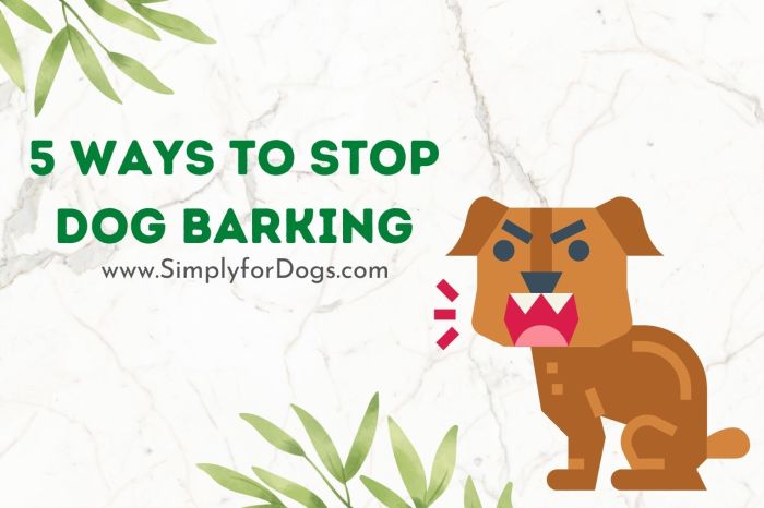 Barking puppy