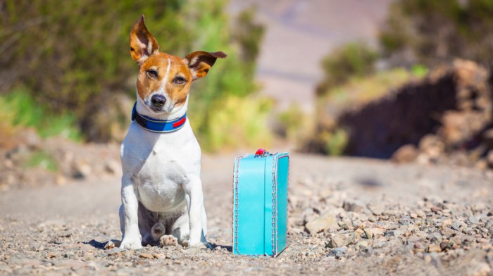 Travel stress christmas tips unibank minute deals check last out Travel stress christmas tips unibank minute deals check last out