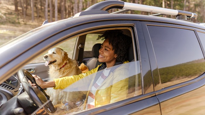 How to Get a Good Deal on a Car