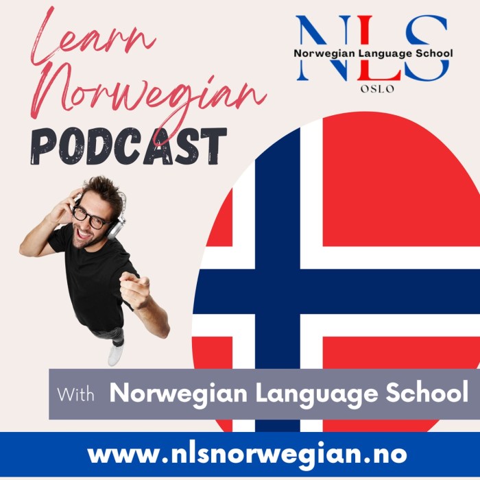 How to Speak Norwegian Fluently