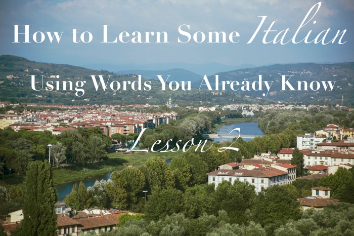 How to Learn 100 Italian Words in a Month