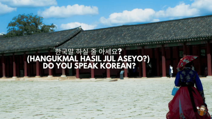 How to Speak Korean Fluently