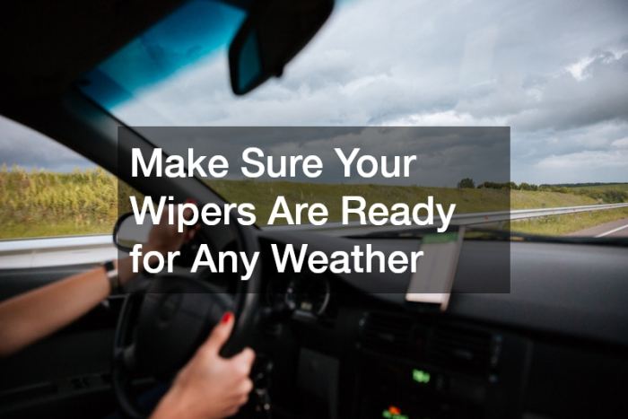 How to Have a Safe and Enjoyable Road Trip