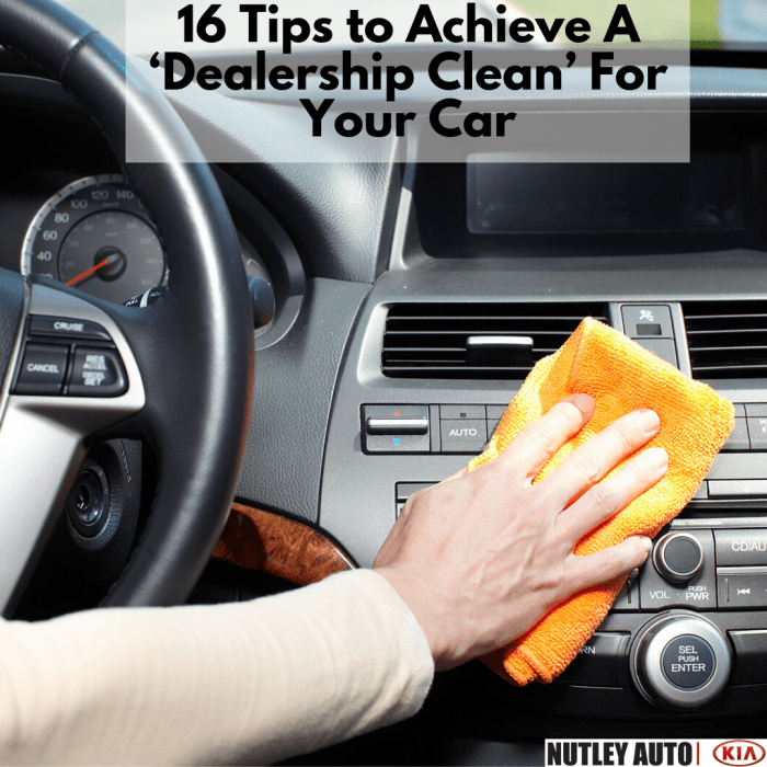 How to Clean Your Car