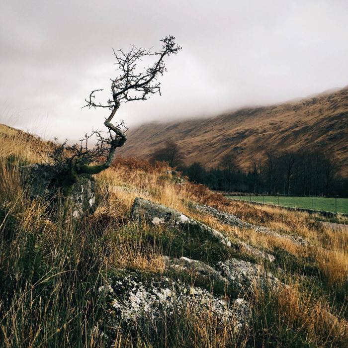 How to Compose a Photo: 10 Rules of Composition for Stunning Images