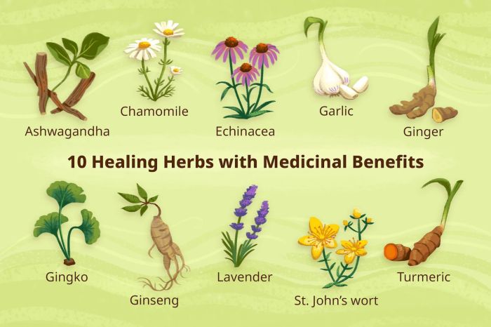 Herbs iproperty easiest 123rf