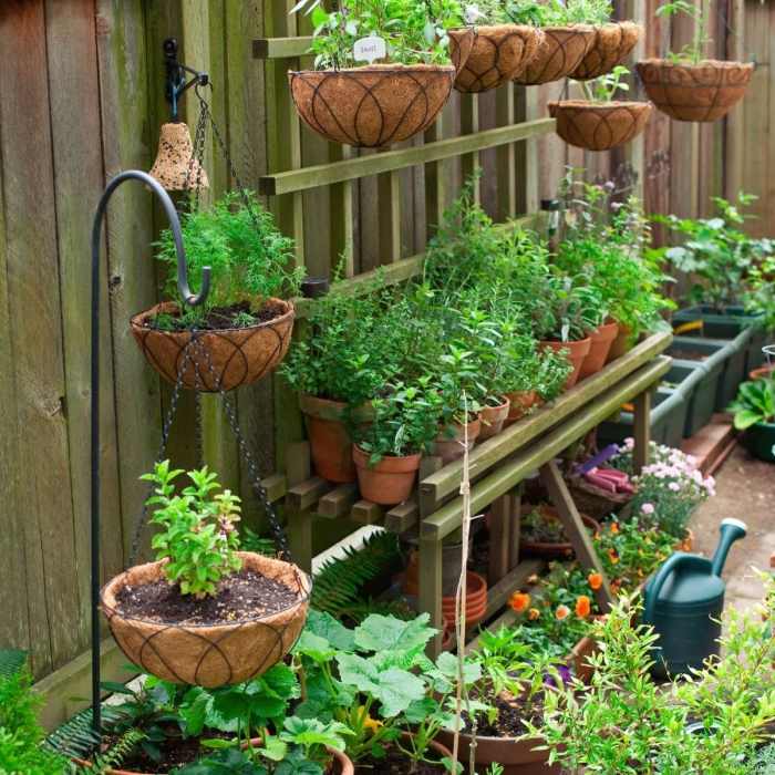 Garden vegetable backyard ideas gardens gardening modern article design beginners veg potager fruit kids