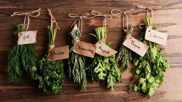 Herbs pots garden grow kitchen windowsill small container beautiful gardens fresh lettuce basil