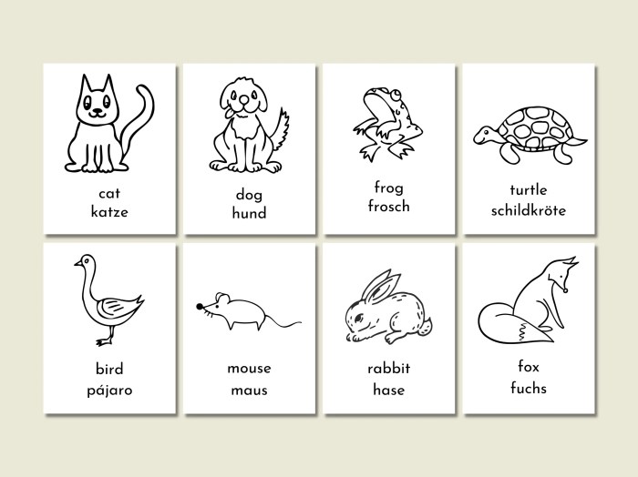 How to Learn 100 German Words in a Month