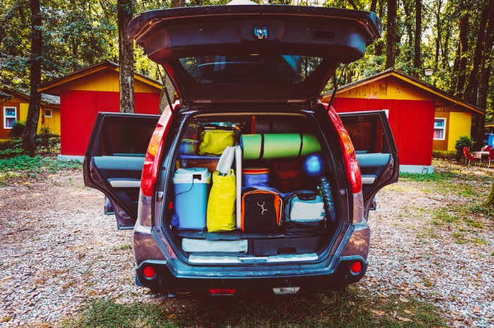 Trip car pack road Trip car pack road