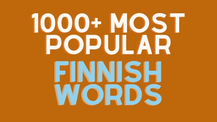 How to Learn 100 Finnish Words in a Month