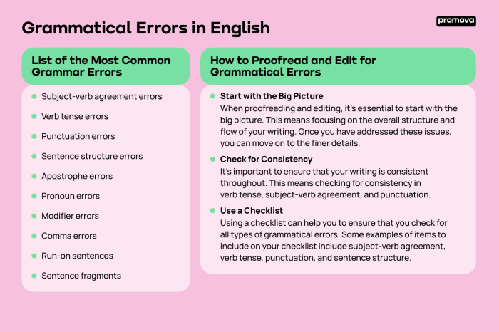 Mistakes grammar common made ve we write ofy school essay