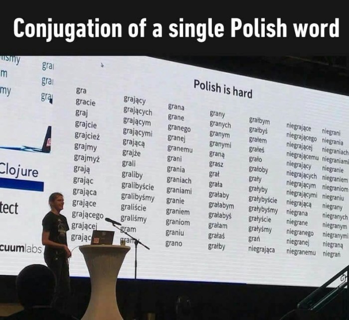 How to Learn 100 Polish Words in a Month