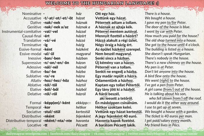 How to Learn 100 Hungarian Words in a Month