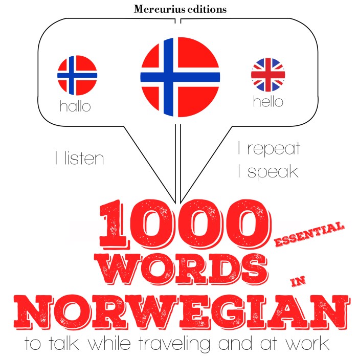 How to Learn 100 Norwegian Words in a Month